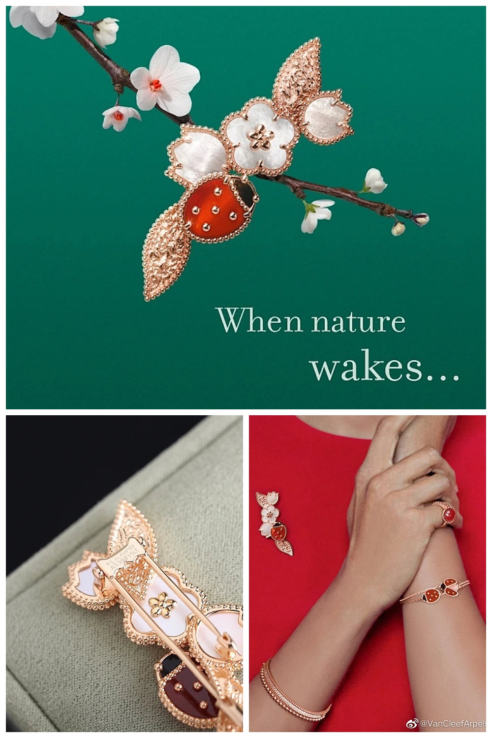 NB - VACA Jewelry - 581