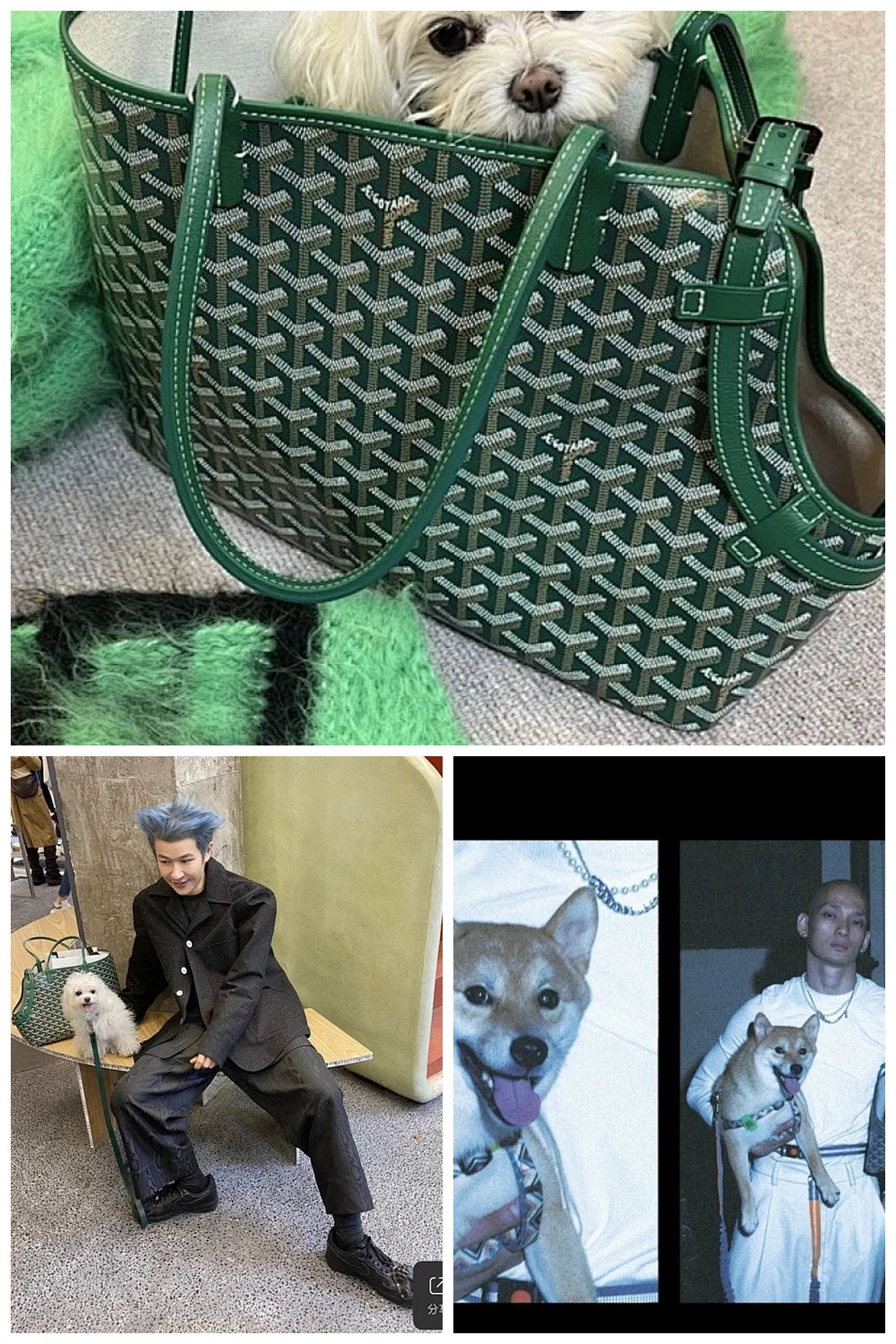 NB - GYO Bag - 1183