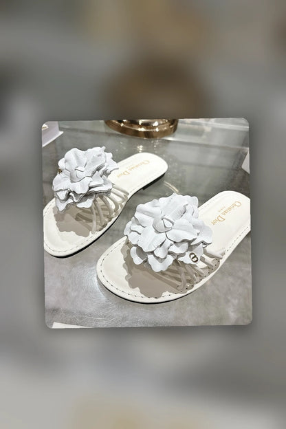 NB - DOR Women Shoes - 136