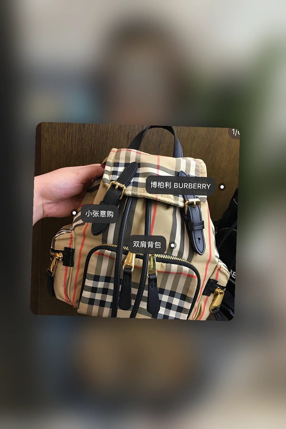 NB - BOR Bag - 450