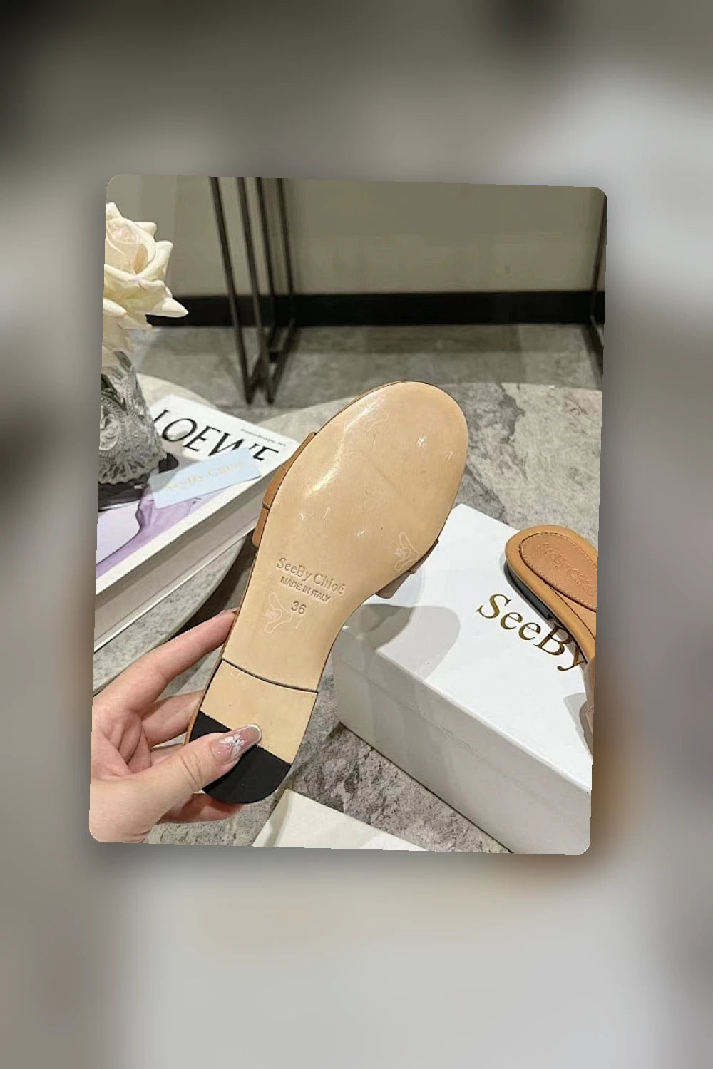NB - CLE Women Shoes - 266