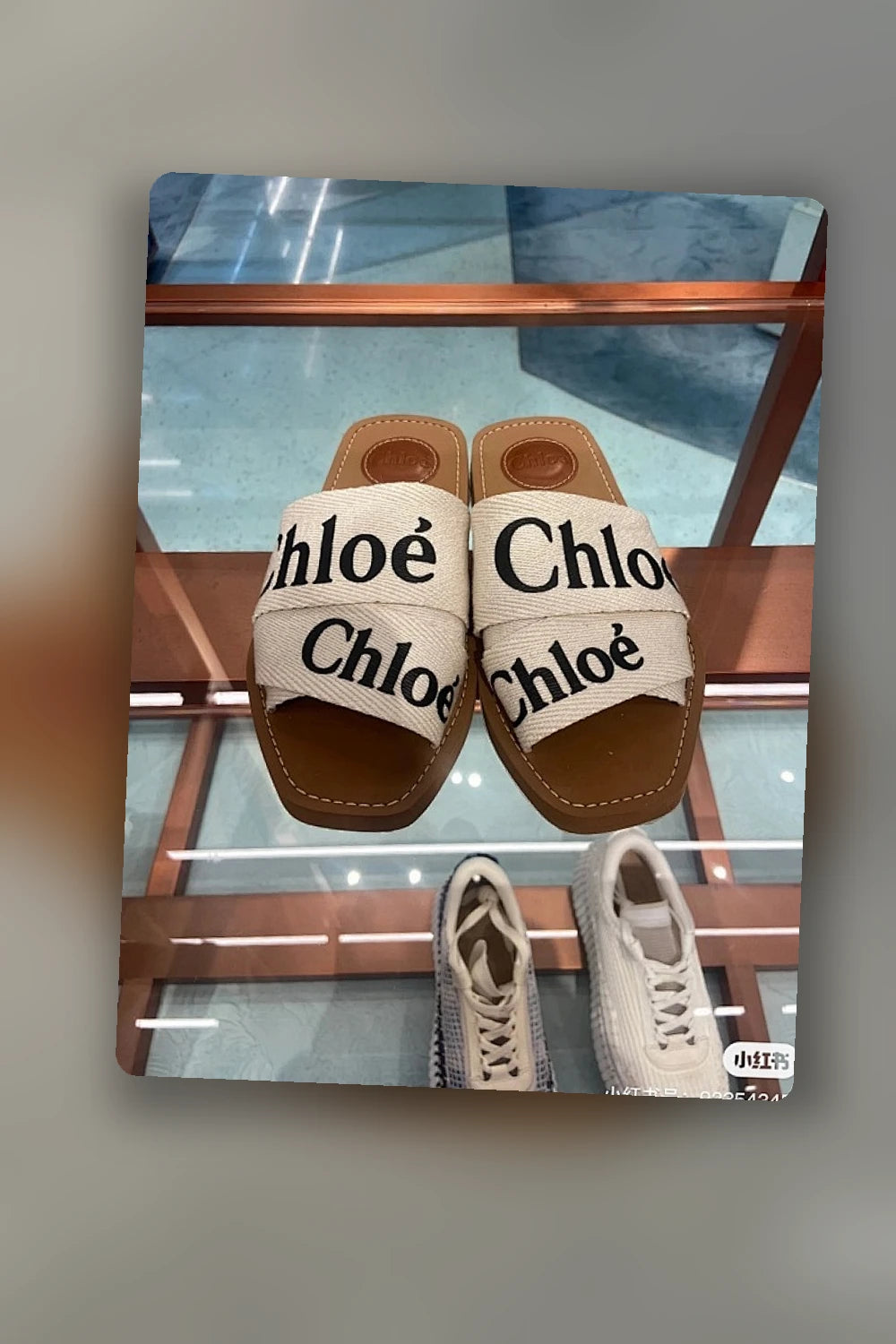 NB - CLE Women Shoes - 455