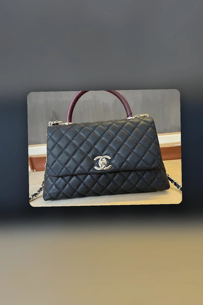 NB - CHL Bag - 270