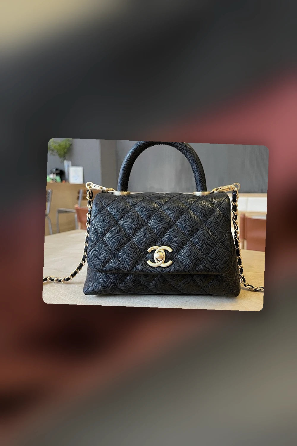 NB - CHL Bag - 286