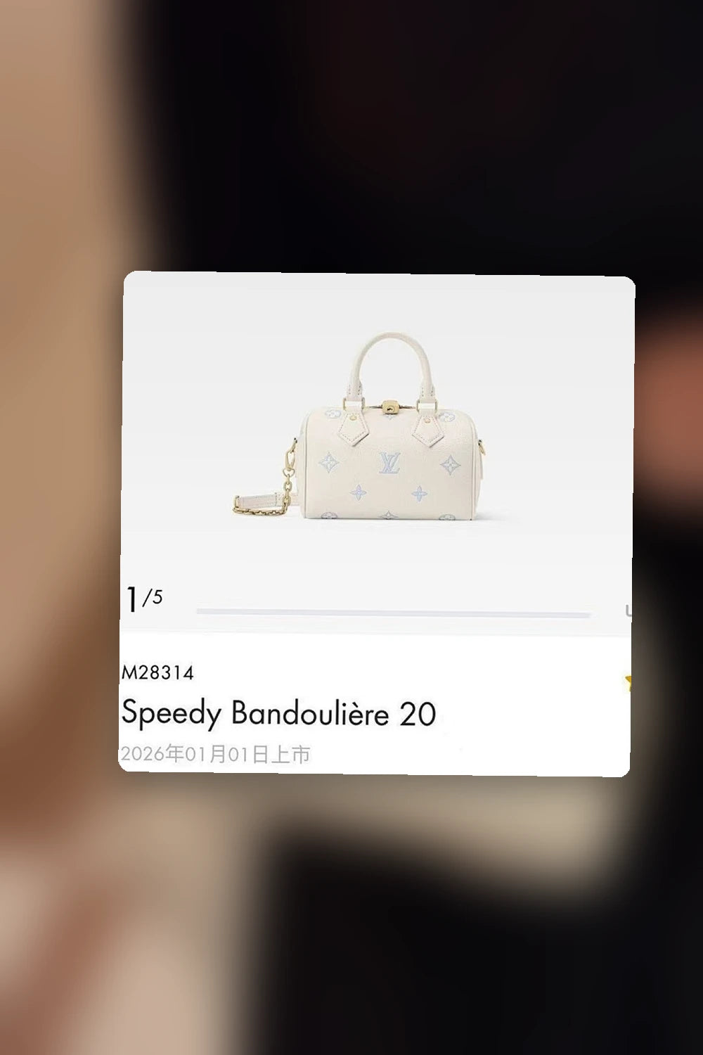 NB - LOV Bag - 729