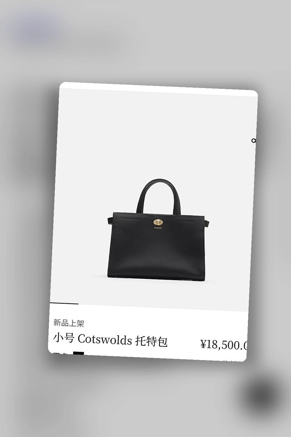 NB - BOR Bag - 294
