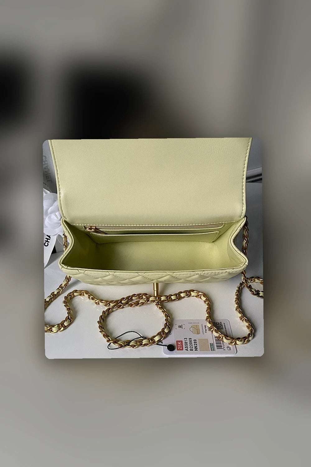 NB - CHL Bag - 298