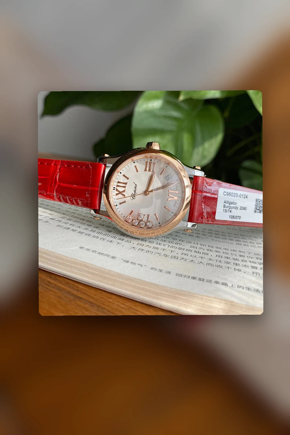 NB - Mix Watch - 817