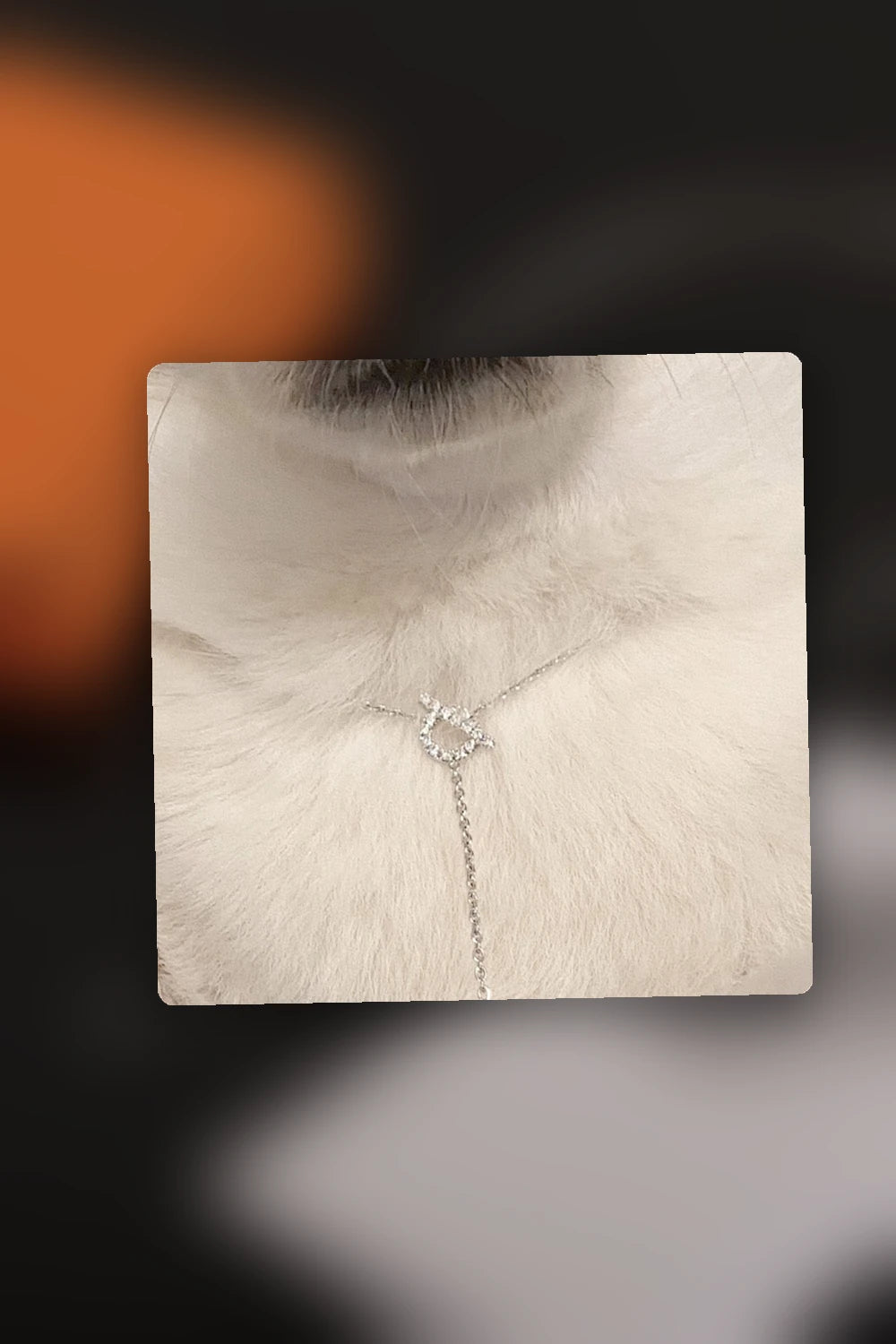 NB - HMS Jewelry - 247