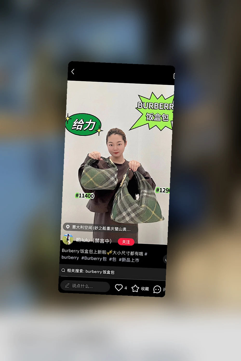 NB - BOR Bag - 1022