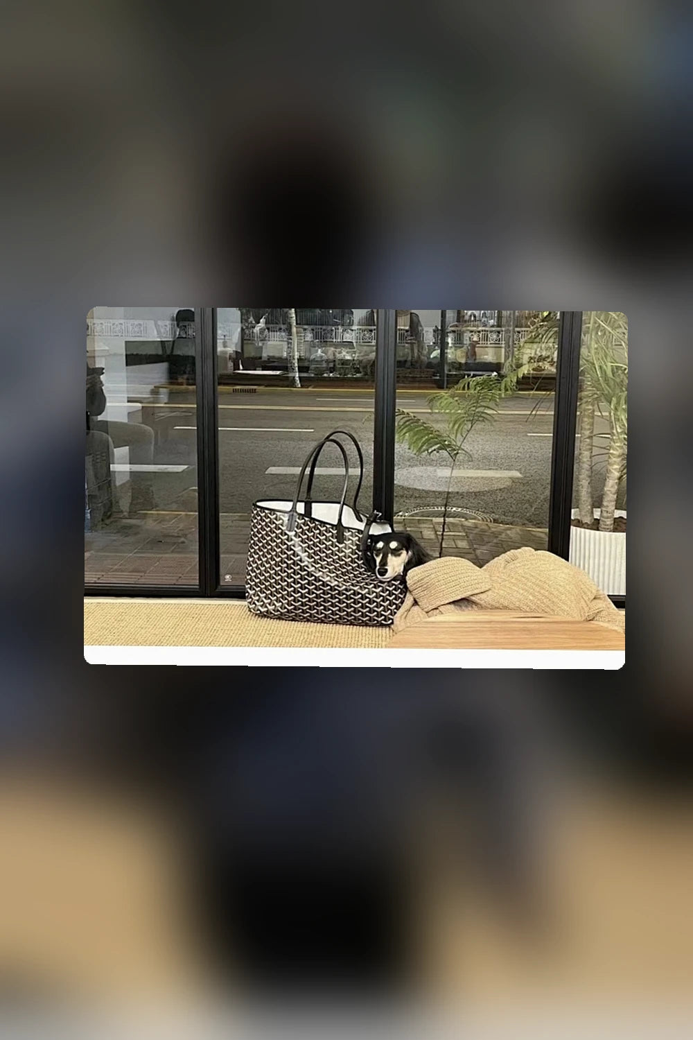 NB - GYO Bag - 1186