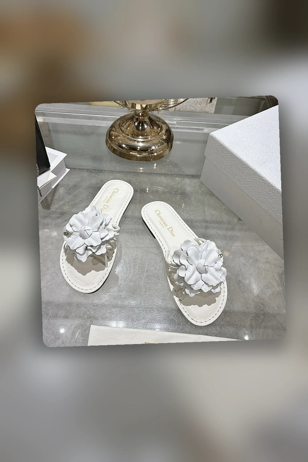 NB - DOR Women Shoes - 136